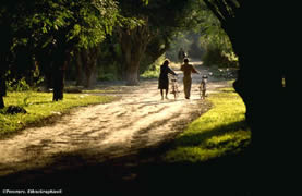 walk